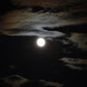 Meet your Posher, Karolee